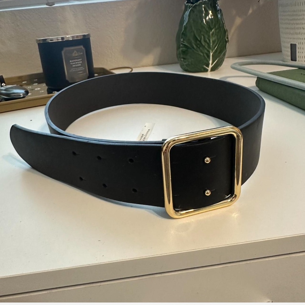 Target Black Belt with Gold Buckle